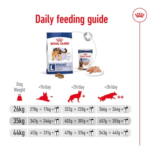 Royal Canin Maxi Adult Dog Food, 220 Grams, Dry Food, Supports Digestive Health & Optimal Health, Provides Bone & Joint Support