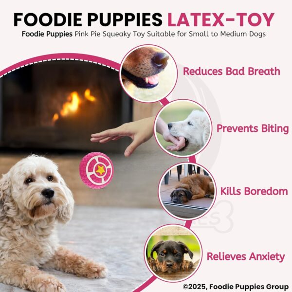 81JkRaLuWuL._SL1500_.jpg Foodie Puppies Interactive Non-Toxic Soft Latex Squeaky Chew Toy for Small to Medium Dogs (Pink Pie - Large) | Chewing, Floating, Training, and Bouncing | Reduce Separation Anxiety
