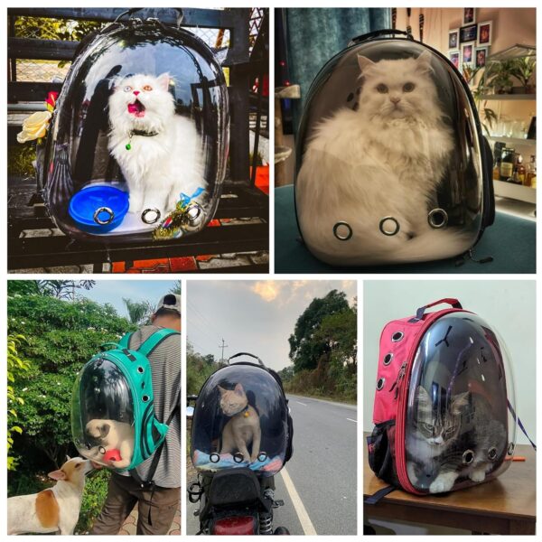 81Jl4fkDazL._SL1500_.jpg Buraq Astronaut Pro Pet Carrier Backpack (41L x 32W x 26H cm) – Transparent Bubble Capsule Design, Airline-Approved, Breathable & Ventilated Travel Bag for Cats