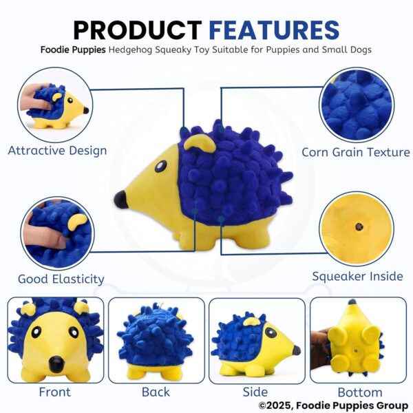 Foodie Puppies Interactive Non-Toxic Soft Latex Squeaky Chew Toy for Puppies and Small Dogs (Hedgehog - Small) | Chewing, Floating, Training, and Bouncing | Reduce Separation Anxiety