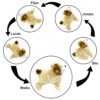 VGRASSP Walking and Jumping Puppy Toy for Kids - Battery Operated Back Flip Jump Dog with Sound - Color As Per Stock
