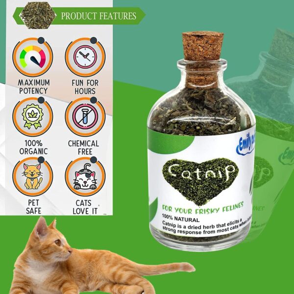 81L6xUSztQL._SL1500_.jpg emily pets Natural Attractive Mint Fragrance Catnip for Cats Kitten