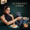 81LhQkrZTYL._SL1500_.jpg Sheba Soup with Tuna Adult Wet Cat Food, 160g (4 x 40g), Finely Sliced Pieces of Tuna in Smooth, Silky and Velvety Broth
