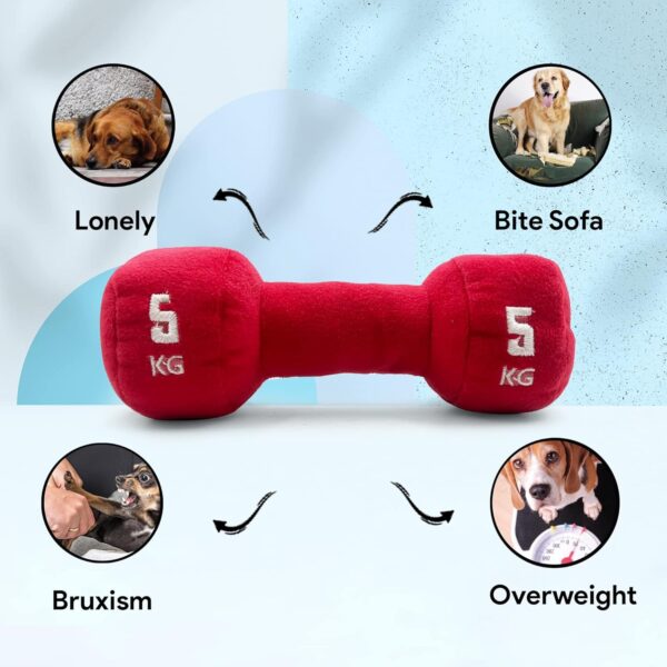 81MKwC-FTL._SL1500_.jpg Goofy Tails Gym Series Dumbbell Plush Toy for Dogs | Squeaky Toy for Dogs and Puppies | Great for Playing Fetch and Retrieve (Red)