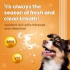 81MRcGh1dRL._SL1500_.jpg BARK OUT LOUD- Dental Sticks Adult Dog Treats | Sugar/Gluten Free | Plaque Tartar & Odour Oral Care | Fresh Smell Chicken Dog Treats - 100 Gm