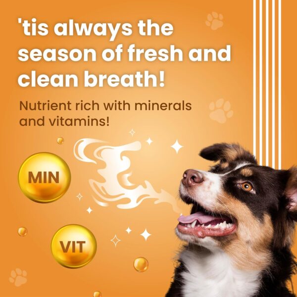 81MRcGh1dRL._SL1500_.jpg BARK OUT LOUD- Dental Sticks Adult Dog Treats | Sugar/Gluten Free | Plaque Tartar & Odour Oral Care | Fresh Smell Chicken Dog Treats - 100 Gm