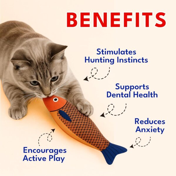 81MkmAnBIrL._SL1500_.jpg Catnip Plush Toys for Cats -Shaped - Bite-Resistant Pillow Toy for Kittens & Adult Cat Chew Toys for Play (Catnip Fish Toy)