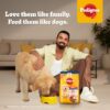 81MlRJMlOL._SL1500_.jpg Pedigree Adult Dry Dog Food, Chicken & Vegetables, 10 kg, Contains 37 Essential Nutrients, 100% Complete & Balanced Food for Adult Dogs