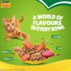 PURINA, FRISKIES Indoor Delights Adult Dry Cat Food, 1 kg, Contains Salmon, Tuna, Chicken and Vegetables Flavours