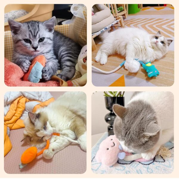 81MyNhEIVlL._SL1500_.jpg Cat Chew Toy, Kitten Toys for Indoor Cats, Cat Toy Alligator-Shaped Plush Teething Toy with Catnip, Fun and Safe Cats Toys for Kittens