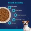 81NS8Jj3uhL._SL1500_.jpg Fresh Lamb Adult Dry Dog Food 400g | Natural Ingredients for Optimal Skin & Coat Health | Highly Palatable | Supports Joint Health | Tailored, Premium Nutrition for Small Dogs
