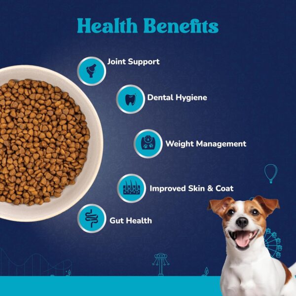 81NS8Jj3uhL._SL1500_.jpg Fresh Lamb Adult Dry Dog Food 400g | Natural Ingredients for Optimal Skin & Coat Health | Highly Palatable | Supports Joint Health | Tailored, Premium Nutrition for Small Dogs