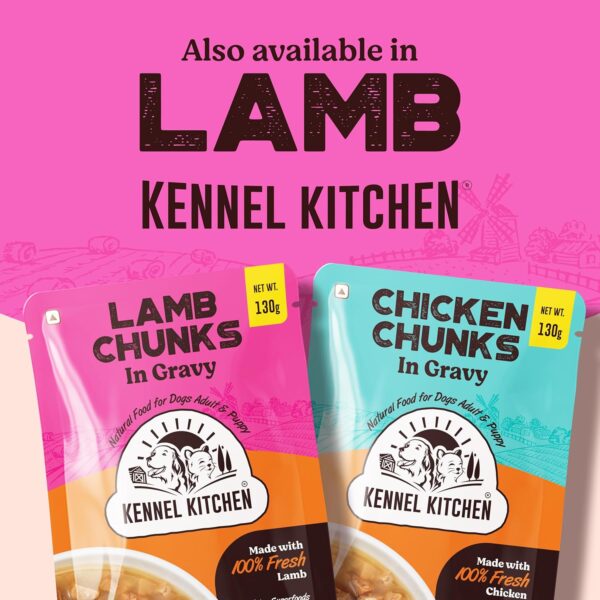 Kennel Kitchen Chicken Chunks in Gravy, 130g (Pack of 1) | Wet Dog Food for Adult & Puppy | Dog Food Gravy with Regionally Sourced Fresh Chicken | Free from Artificial Colours & Preservatives