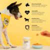 Henlo Everyday Nutrition Topper | Dog Supplement and Multivitamin | Improved Skin & Coat, Joint Support, Heart, and Gut Health Human Grade Ingredients | All Life Stages | 100g