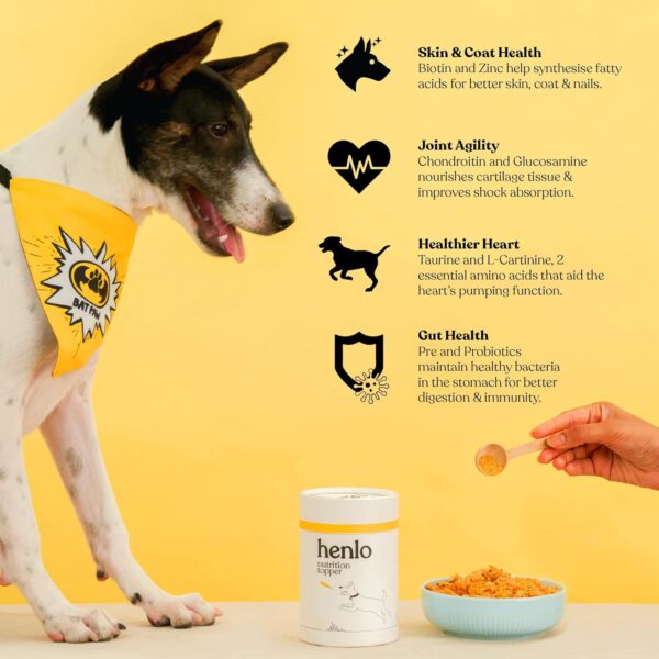 Henlo Everyday Nutrition Topper | Dog Supplement and Multivitamin | Improved Skin & Coat, Joint Support, Heart, and Gut Health Human Grade Ingredients | All Life Stages | 100g