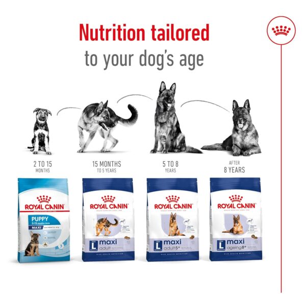 Royal Canin Maxi Adult Dog Food, 220 Grams, Dry Food, Supports Digestive Health & Optimal Health, Provides Bone & Joint Support
