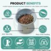 81QJV03DrGL._SL1500_.jpg Foodie Puppies Elevated Bowl Feeder Food Water for Cats, Kittens & Puppies (Set of 2) Persian Cat Food Bowl Tilted Raised Bowl (Color May Vary) Plastic, ?15L x 13.5W x 11.5H cms