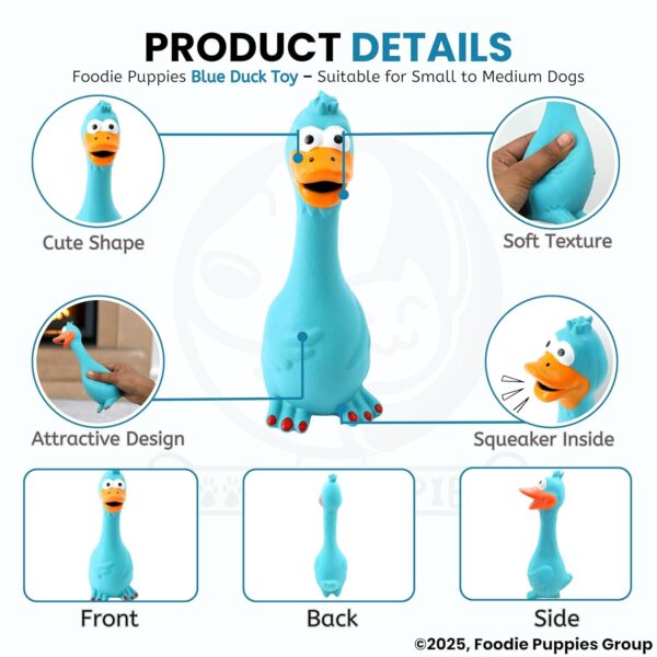 81QKy5tVZJL._SL1500_.jpg Foodie Puppies Natural Latex Rubber Squeaky Dog Toy - (Blue Duck) | Small Dogs & Puppy | Durable, Animal Design, Fetch & Chew Safe Play Toy | Reduce Separation Anxiety