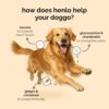81RUGFV43lL._SL1500_.jpg Henlo Baked Chicken & Rice Dry Dog Food | 100% Human Grade Ingredients | 800G