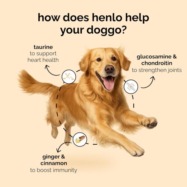 81RUGFV43lL._SL1500_.jpg Henlo Baked Chicken & Rice Dry Dog Food | 100% Human Grade Ingredients | 800G