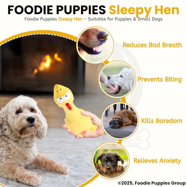 Foodie Puppies Natural Latex Rubber Squeaky (Yellow Sleepy Hen) Dogs Toy | Small Dogs & Puppy | Durable, Animal Design, Fetch & Chew Safe Play Toy | Reduce Separation Anxiety
