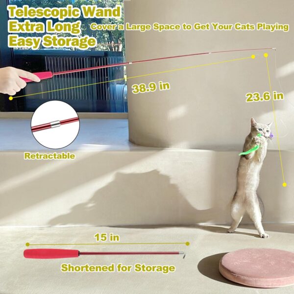 Cat Feather Toy
