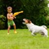 81SzDkJ98sL._SL1500_.jpg Emily Pets 1 Pack Chicken Dog Toy Screaming Chicken Toys Large Squeeze Chicken Noisemaker Dog Squeak Durable Toys for Pet Chew Gifts Prank Novelty Toy (Yellow, Small)