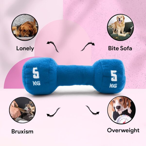 81T8IoX8rSL._SL1500_.jpg Goofy Tails Gym Series Dumbbell Plush Toy for Dogs | Squeaky Toy for Dogs and Puppies | Great for Playing Fetch and Retrieve(Blue)