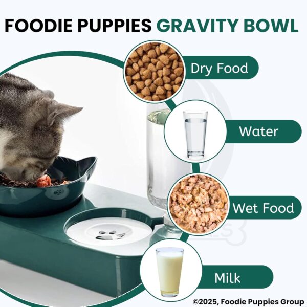 81TB4DqkvcL._SL1500_.jpg Foodie Puppies 2 in 1 Pet Gravity Feeder Food Bowl and Water Bottle Set- (Green), with Automatic Water Dispenser Bottle, Detachable Tilted Raised Food Bowl for Puppy, Small Dogs Cats and Kittens