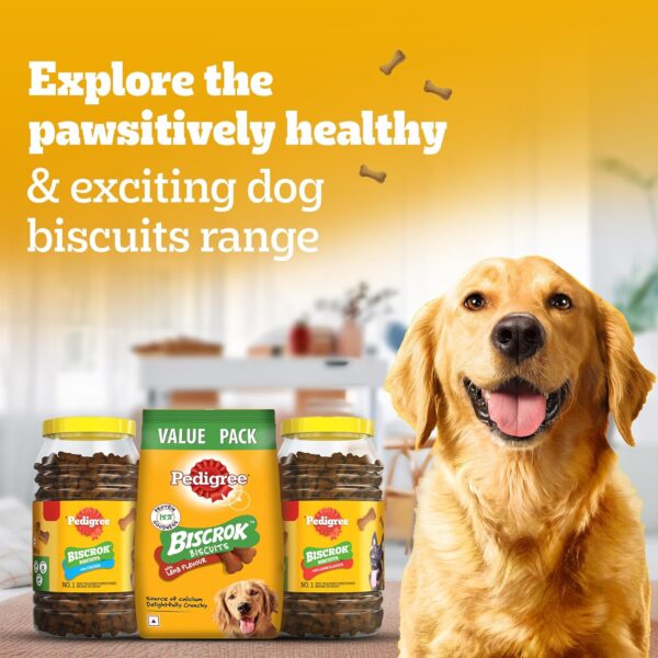 Pedigree Biscrok Biscuits (Above 4 Months) Dog Treats, Chicken with Milk Flavour, 900 g, Source of Calcium, Goodness of 15% Protein