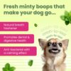 81TJsenMC1L._SL1500_.jpg BARK OUT LOUD - Dental Treats | Brush Shape Dog Chews | Removes Plaque/Tartar | Fresh Smell | Oral Care Gluten Free| Chicken Dog Treats (100 GMS)