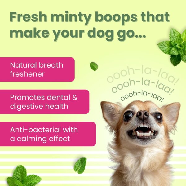 81TJsenMC1L._SL1500_.jpg BARK OUT LOUD - Dental Treats | Brush Shape Dog Chews | Removes Plaque/Tartar | Fresh Smell | Oral Care Gluten Free| Chicken Dog Treats (100 GMS)