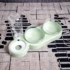 81TNOcAWNtL._SL1500_.jpg Pet Water Dispenser - 3 in 1 Pet Double Bowls 2 Food Bowls 1 Water Feeder Set Food Feeder Set for Cats Puppy Small Dogs | Easy Cleaning with Waterer Bottle for Indoor for Cat Dog
