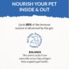 81Tdh3AsDL._SL1500_.jpg Goofy Tails Sea Food Bone Broth for Cats 300 ml (100ml X 3 Pack), Human Grade, Preservative Free,Gut Friendly Cat Food Topper, Cat Supplements with Natural Collagen