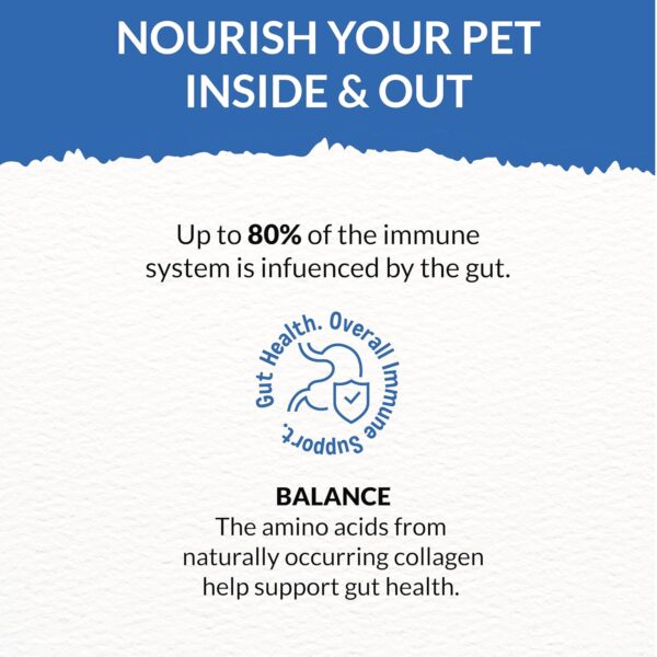 81Tdh3AsDL._SL1500_.jpg Goofy Tails Sea Food Bone Broth for Cats 300 ml (100ml X 3 Pack), Human Grade, Preservative Free,Gut Friendly Cat Food Topper, Cat Supplements with Natural Collagen