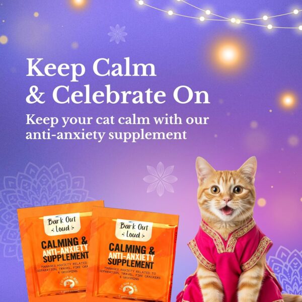 BARK OUT LOUD Festive Gift Box for Cats | Premium Gift Hamper with Duck Chews, Tuna & Chicken Mousse, Cat Pillows & Calming Supplements | Ideal Gift for All Cat Breeds & Ages