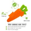 Goofy Tails Dog Toys, Veggie Series Carrot Squeaky Chew Toys for Dogs & Puppies, Squeaky Toys for Dogs, Small & Medium Breeds
