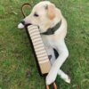 Dog Toys, Interactive Dog Toys Leather Bite Rag, Durable Dog Bite Tug Toy for Puppy, Teeth Cleaning and Training(11.8 * 2.8in)