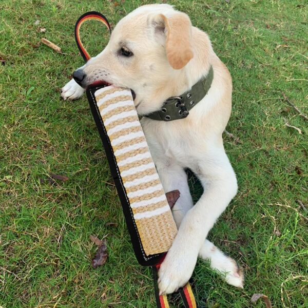 Dog Toys, Interactive Dog Toys Leather Bite Rag, Durable Dog Bite Tug Toy for Puppy, Teeth Cleaning and Training(11.8 * 2.8in)