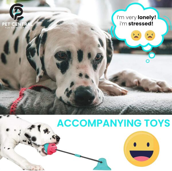 Interactive Toy | Suction Cup Chew Toy for Aggressive Chewers | Treat Dispensing Squeaky Dog Toy for Stimulation and Self-Playing | Tug of War Rope With Teeth Cleaning Ball