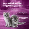 Whiskas Junior Kitten (2-12 Months) Wet Cat Food, Chicken with Salmon in Jelly, 80 g, Hydrating Food Made with Real Fish, 100% Complete & Balanced Nutrition for Kittens