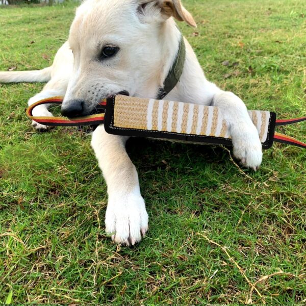 Dog Toys, Interactive Dog Toys Leather Bite Rag, Durable Dog Bite Tug Toy for Puppy, Teeth Cleaning and Training(11.8 * 2.8in)