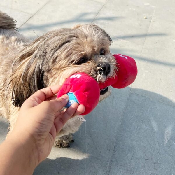 81Wuq4HMXeL._SL1500_.jpg Goofy Tails Gym Series Dumbbell Plush Toy for Dogs | Squeaky Toy for Dogs and Puppies | Great for Playing Fetch and Retrieve (Red)