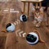 TR Tinsrom Interactive Cat Toy - USB Rechargeable for Kittens & Toys for Cats by TR Tinsrom