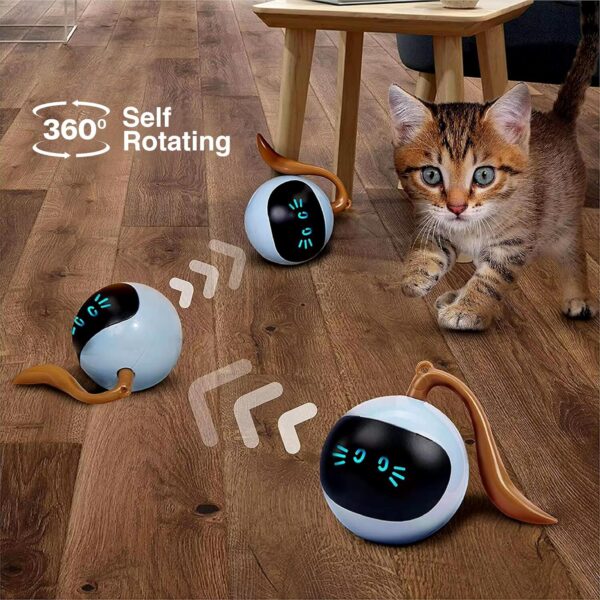 TR Tinsrom Interactive Cat Toy - USB Rechargeable for Kittens & Toys for Cats by TR Tinsrom