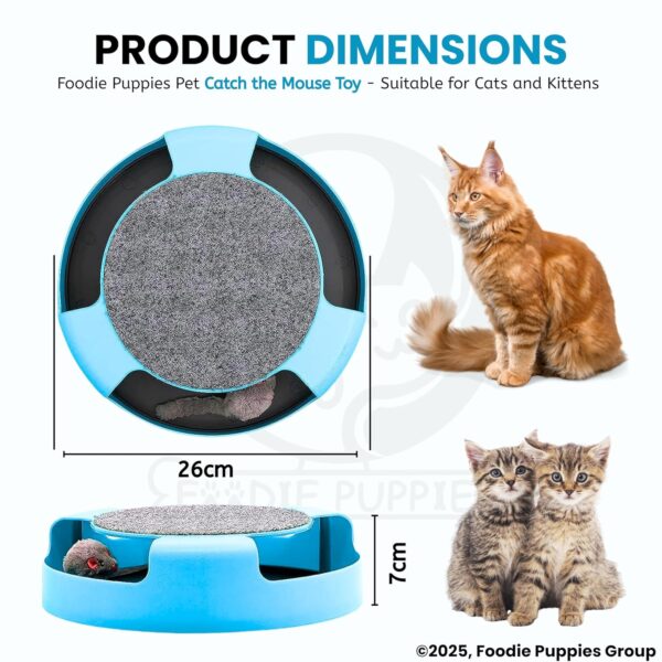 Foodie Puppies Interactive Catch Mouse Cat Scratcher Toy with Rotating Mouse and Scratching Pad/Mat for Cats & Kittens - (Sky Blue) | Durable, Non-Toxic Plastic Disc for Indoor Cat Claw Care and Play