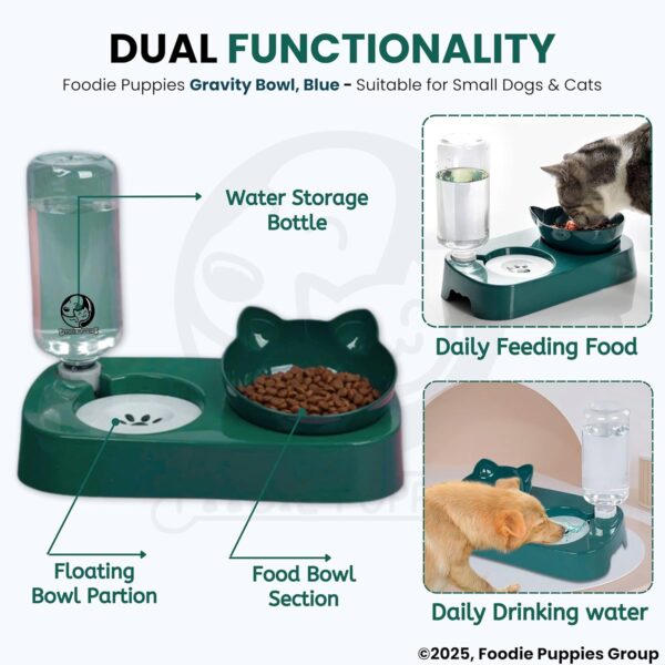 81ZFx1c1IpL._SL1500_.jpg Foodie Puppies 2 in 1 Pet Gravity Feeder Food Bowl and Water Bottle Set- (Green), with Automatic Water Dispenser Bottle, Detachable Tilted Raised Food Bowl for Puppy, Small Dogs Cats and Kittens