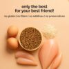 81aAcRRyrtL._SL1500_.jpg Henlo Baked Chicken & Rice Dry Dog Food | 100% Human Grade Ingredients | 800G