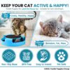 Foodie Puppies Interactive Catch Mouse Cat Scratcher Toy with Rotating Mouse and Scratching Pad/Mat for Cats & Kittens - (Sky Blue) | Durable, Non-Toxic Plastic Disc for Indoor Cat Claw Care and Play