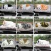 FunBlast Cute Sleeping Cat Plush Toy with Meow Sound, Gift for Kids, Toy Accessories for Car Dashboard (Brown-2)
